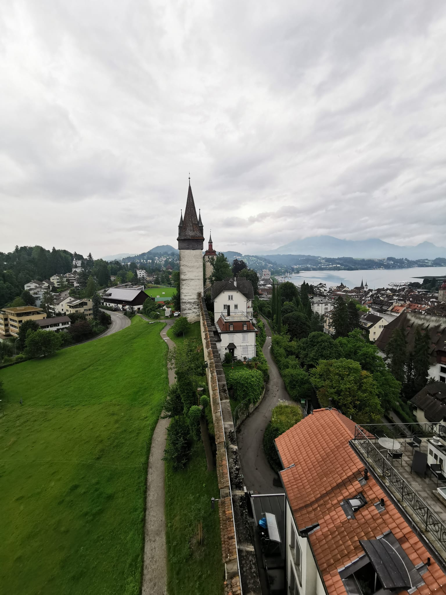 lucern